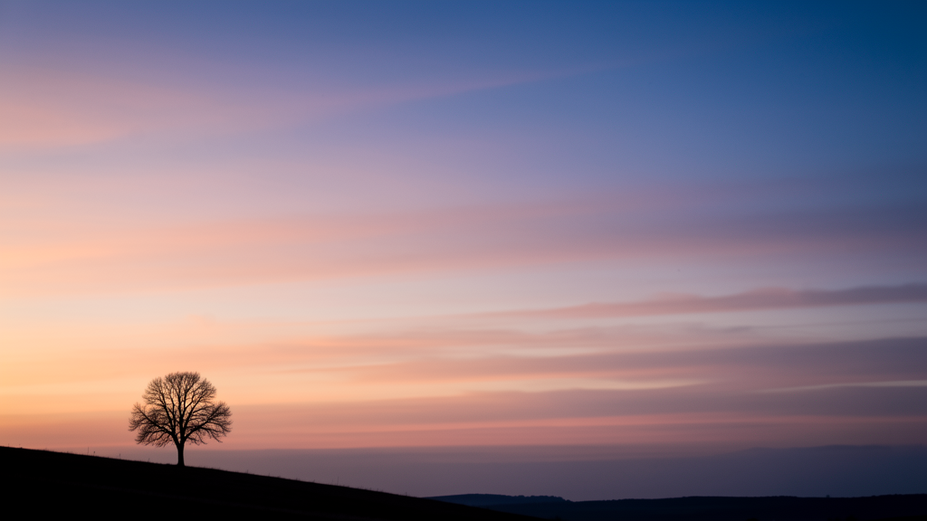 Twilight sky